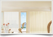 Polymer Blinds